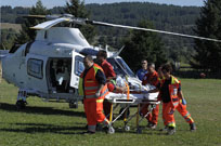 grifone 2015 image 17