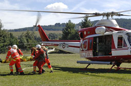 grifone 2015 image 27