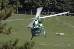 grifone 2015 image 36