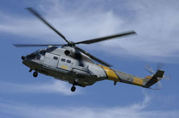 grifone 2015 image 47