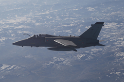 in volo con l8 gruppo image 10