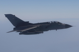 in volo con l8 gruppo image 2