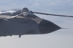 in volo con l8 gruppo image 3