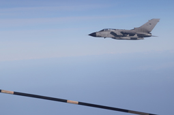 in volo con l8 gruppo image 4