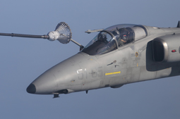 in volo con l8 gruppo image 7