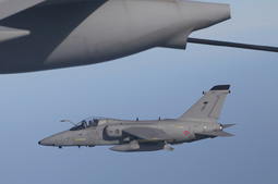 in volo con l8 gruppo image 8