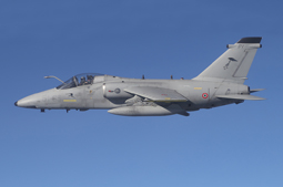 in volo con l8 gruppo image 9