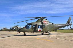 italian call 2011 image 10