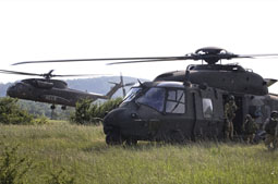 italian call 2011 image 14