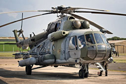 italian call 2011 image 16