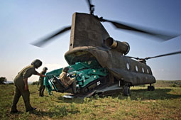 italian call 2011 image 21