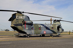 italian call 2011 image 25