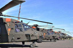 italian call 2011 image 35