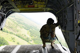 italian call 2011 image 36