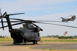 italian call 2011 image 5