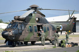 italian call 2011 image 6