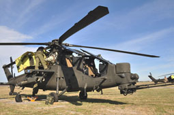 italian call 2011 image 9