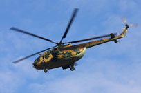 kleine brogel airt base spotting 2009 image 54