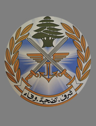 lebanese air force insignia