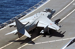 mare aperto 2023 image 11