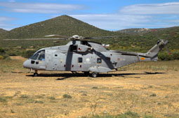 mare aperto 2023 image 22