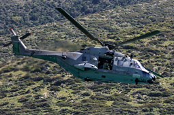 mare aperto 2023 image 27