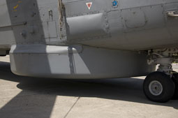 maristaeli luni image 48