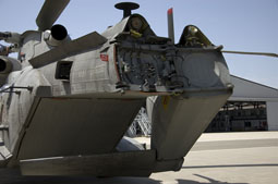 maristaeli luni image 49