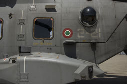 maristaeli luni image 50