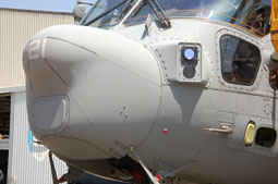 maristaeli luni image 51