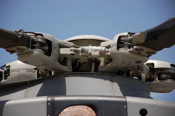 maristaeli luni image 53