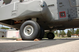 maristaeli luni image 54