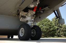 maristaeli luni image 55