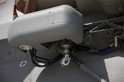 maristaeli luni image 59