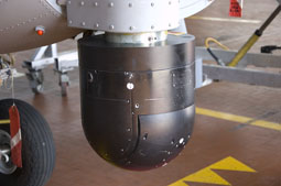 maristaeli luni image 60