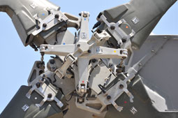 maristaeli luni image 62