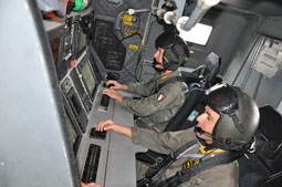 maristaeli luni image 63