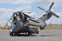 maristaeli luni image 65