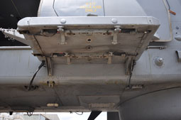 maristaeli luni image 68