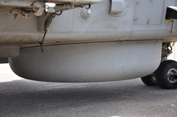 maristaeli luni image 69