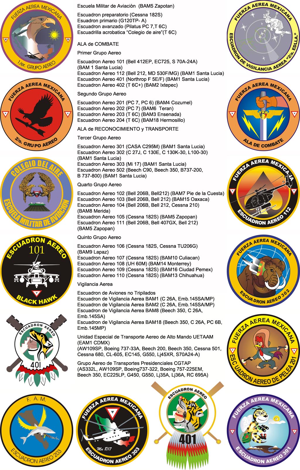 mexican air force image 34