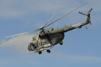 nato day 2012 image 36