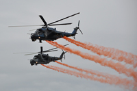 nato day 2012 image 38