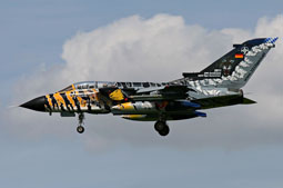 nato tiger meet 2011 cambrai image 41