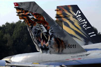 nato tiger meet kleine brogel 2009 image 78