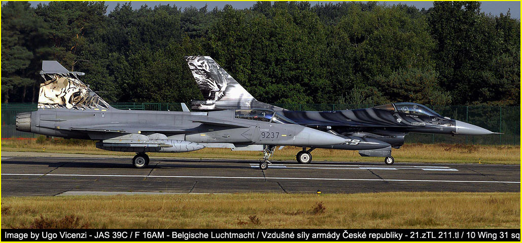 nato tiger meet kleine brogel 2009 image 81