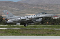 nato tiger meet konya 2015 image 10