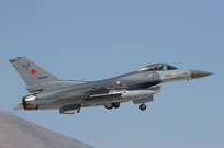 nato tiger meet konya 2015 image 17