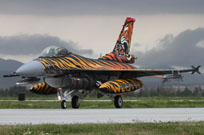 nato tiger meet konya 2015 image 32