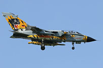 nato tiger meet poznan 2018 image 12